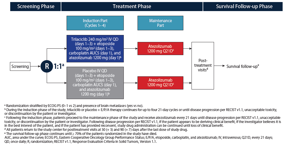 Study Schematic for G1 Therapeutics phase 2 study for extensive stage single cell lung cancer patients 